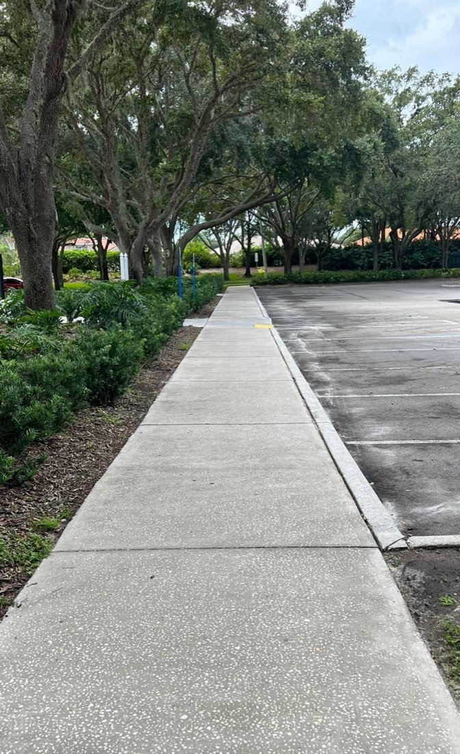 Freshly pressure washed concrete walkway