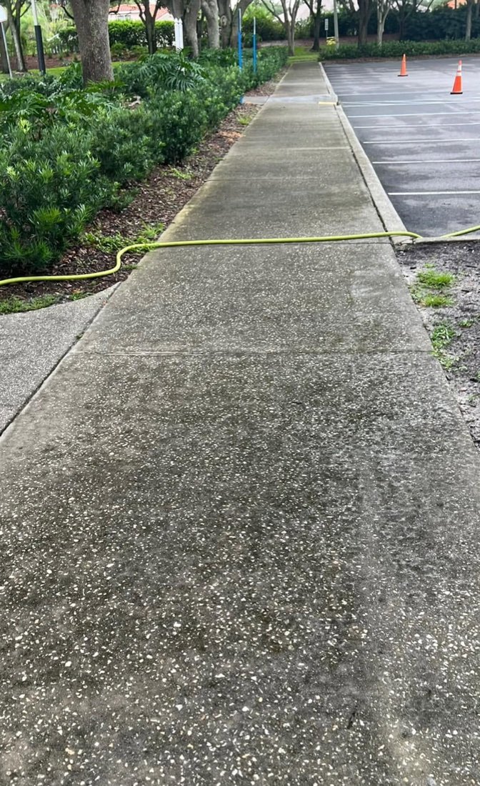 Long concrete walkway darkened with mildew before cleaning