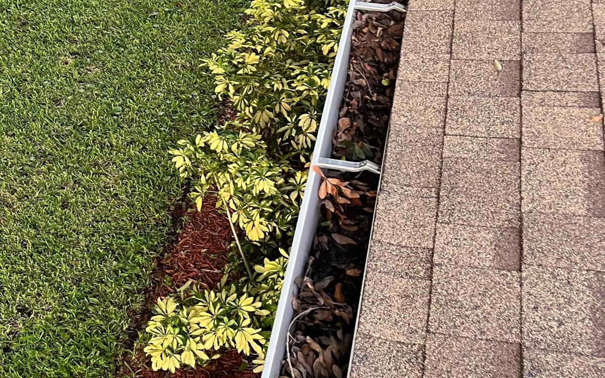 Rain gutter packed with dead leaves along a shingle roof