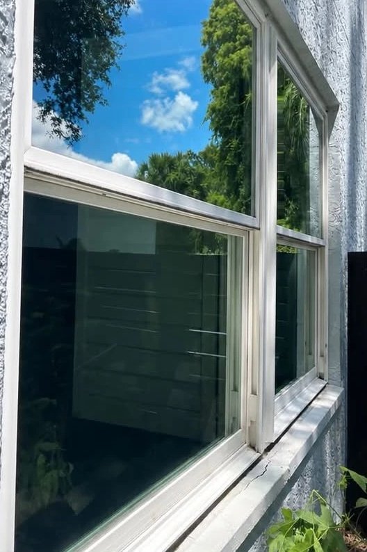 Sparkling clean windows reflecting blue sky and trees